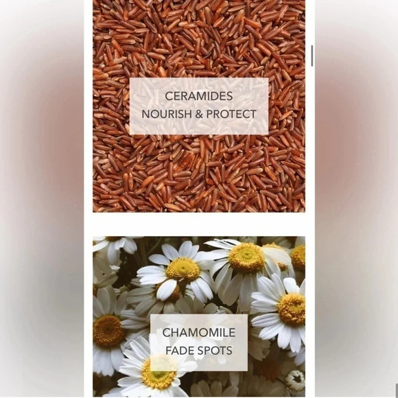 DOLL 10 HYDRALUX FULL COVERAGE SMOOTHING  FOUNDATION BRAND‎ NEW NEVER USED TAN - Picture 10 of 12